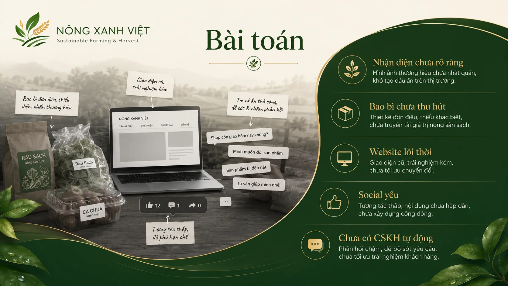 Nông Xanh Việt – Sustainable Farming & Harvest: Hành Trình Xây Dựng Thương Hiệu Nông Nghiệp Sạch